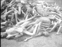 [Heaped bodies in Auschwitz]