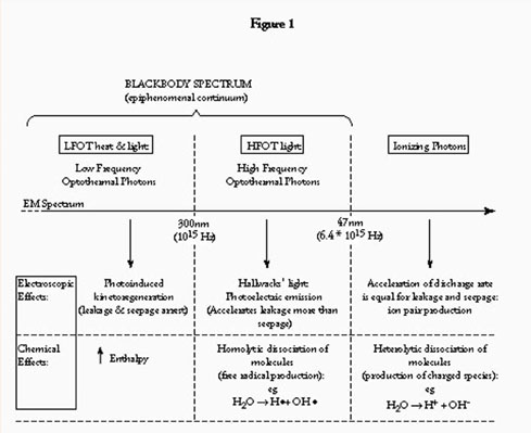 [Figure 1]