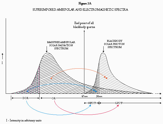 [Figure 2A]