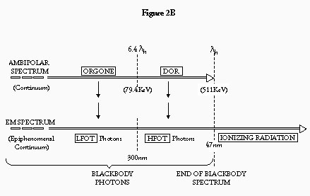 [Figure 2B]