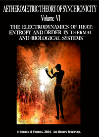 [Electrodynamics of Heat cover]